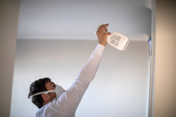 Best Fast Mold Removal  in Lyons, CO