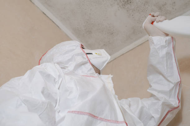 Best Residential Mold Removal  in Lyons, CO
